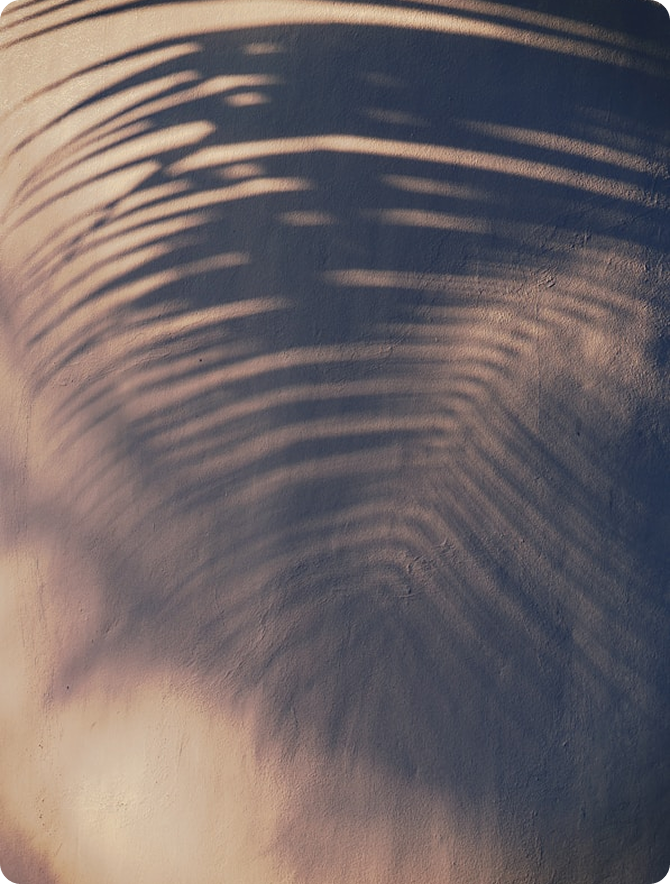 Let Zeroe Atlas do the heavy lifting