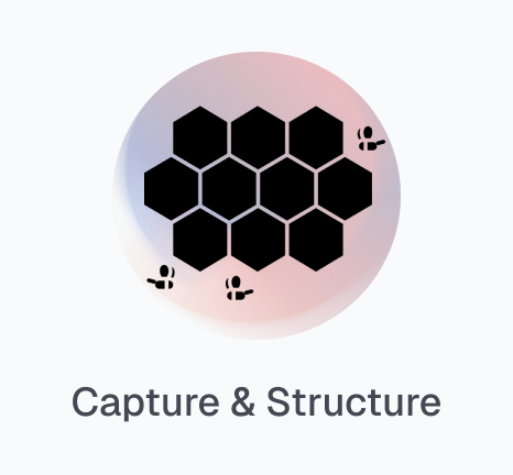 Capture & Structure